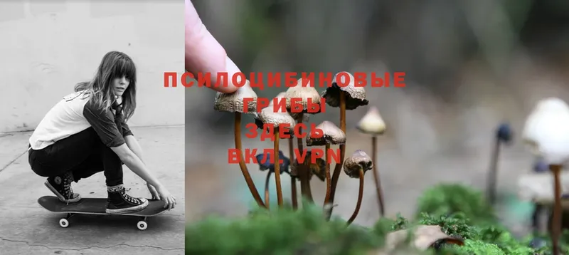 Псилоцибиновые грибы Magic Shrooms  Белый 